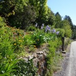 Combe-Chaude – Pont de la Vigne